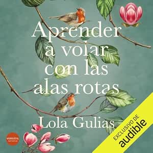 Aprender-A-Volar-Con-Las-Alas-Rotas-Audiolibro-gratis